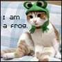 Frog Pictures, Images and Photos